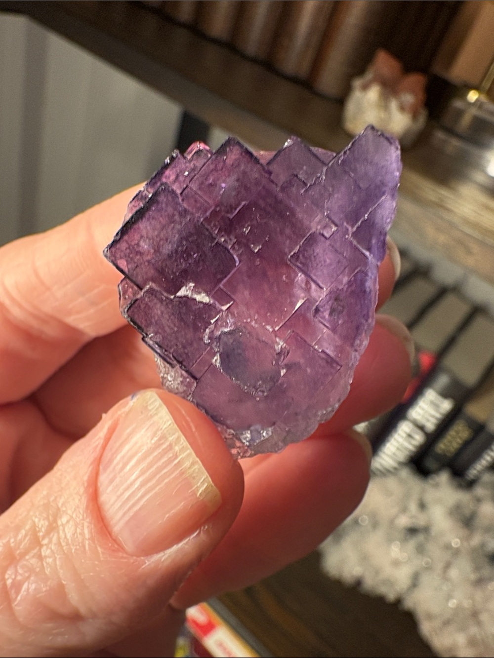 Purple Step Fluorite